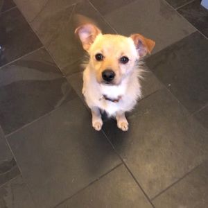 Meet your Posher, Gina